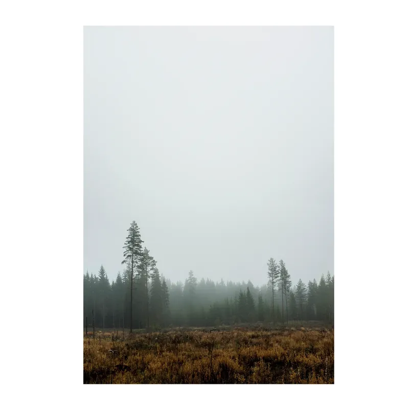 Skog poster från Fine Little Day Lägg i varukorgen