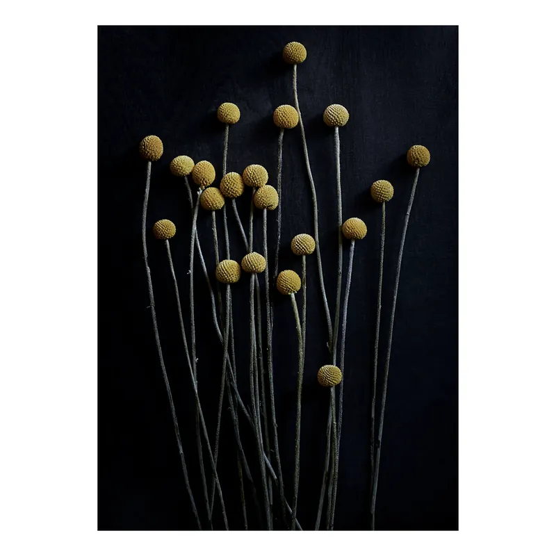 Kundfavorit Still Life 01 Yellow Drumsticks poster från Paper Collective