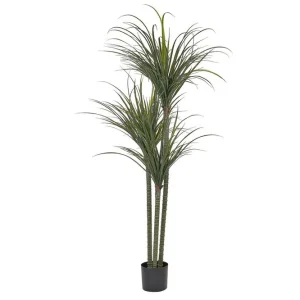 Snabb frakt Konstgjord växt Dracaena Anita - Inredning