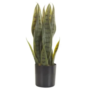 Konstgjord växt Snake Plant 10x10x40 cm 10x10x40 cm - Inredning Fynd