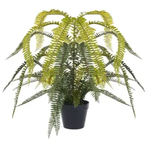 Konstgjord växt Fern Leaf Plant - Inredning Rea