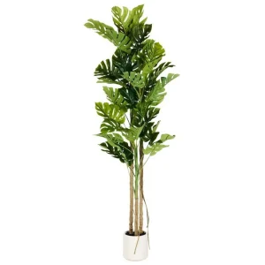 Konstgjord växt Monstera Plant 71x71x221 cm 71x71x221 cm - Inredning Billigare
