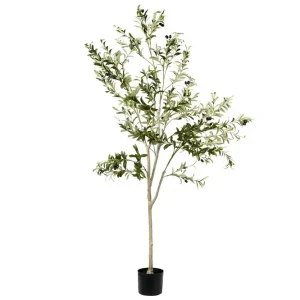 Konstgjord växt Olive Tree 75x75x178 cm 75x75x178 cm - Inredning I lager