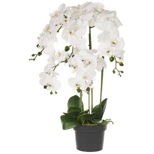 Konstgjord växt Orchid 28x28x63 cm 28x28x63 cm - Inredning Rea