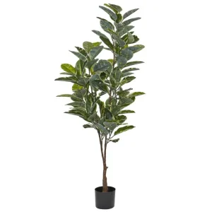 Konstgjord växt Ficus Elastica - Inredning Fynd