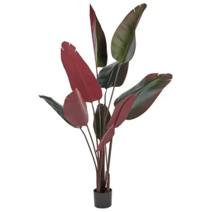 Begränsad tid Konstgjord växt Banana Tree Grön/svart/röd, 95x95x170 cm Grön/svart/röd, 95x95x170 cm - Inredning