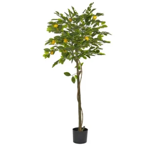 Snabb frakt Konstgjord växt Lemon Tree 66x66x156 cm 66x66x156 cm - Inredning