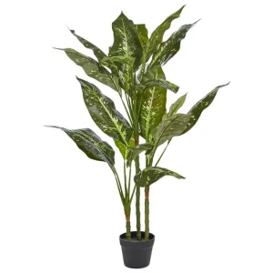 Konstgjord växt Dieffenbachia 55x55x110 cm 55x55x110 cm - Inredning Fynd