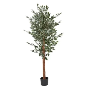 I lager Konstgjord växt Ficus - Inredning