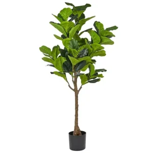 Konstgjord växt Fig Tree - Inredning Outlet