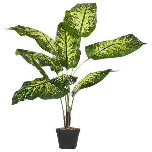 Rabatt Konstgjord växt Dieffenbachia 16x16x122 cm 16x16x122 cm - Inredning