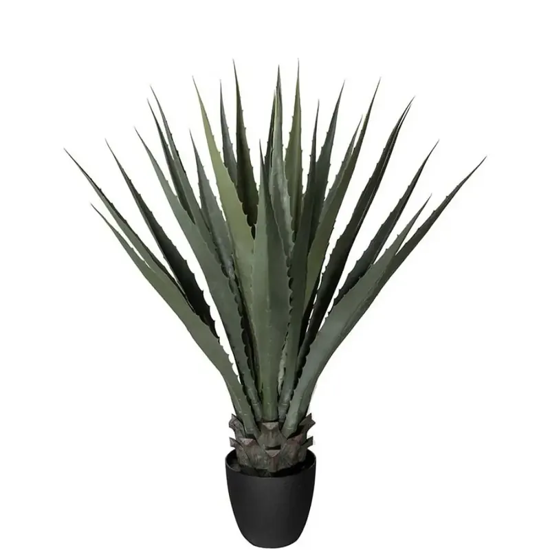 Agave Grön 100 cm Fri frakt