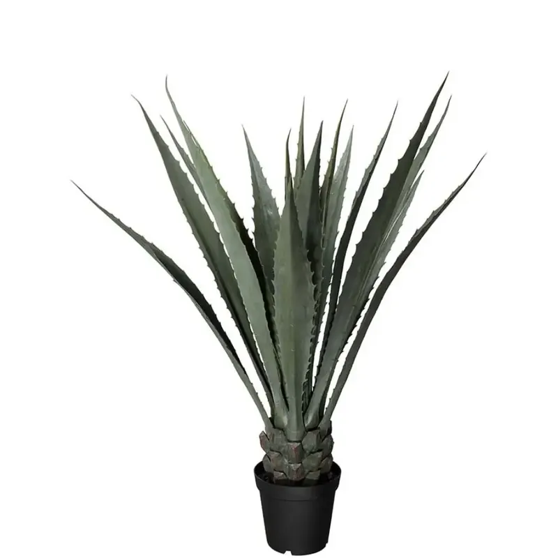 Agave Grön 120 cm Sista chansen