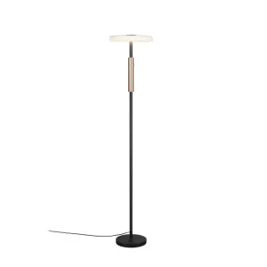 Trio Lighting Golvlampa TRIO Celeste Mattsvart/vit/kaffebrun Mattsvart/vit/kaffebrun - Belysning & el Populärt val