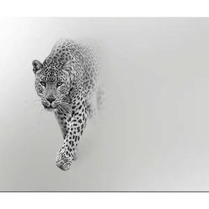 Canvastavla 70x100 cm - Majestätisk leopard som rör sig framåt i en stilren och minimalistisk komposition Svart / Grå - Inredning Snabb leverans