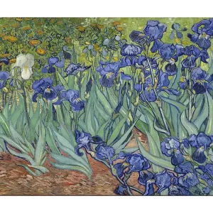 Billigare Canvastavla 70x100 cm - Färgglad samling av irisblommor i olika nyanser av blått Blå / Grön / Vit - Inredning