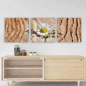 Dekorativ Canvastavla 3-Delar 30x30 cm Flerfärgad - Inredning Lågt pris