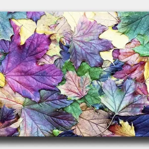 Canvastavla 70x100 cm - Färgglada höstlöv i en harmonisk komposition Lila / Grön / Gul - Inredning Extra rabatt
