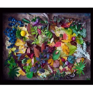 Begränsat antal Inramad Canvastavla i trä - 41x56 cm - Färgglad samling av höstlöv och bär Grön / Röd / Gul - Inredning