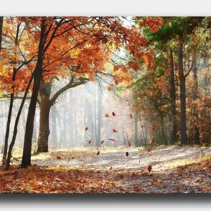 Kampanj Canvastavla 70x100 cm - Höstskogslandskap med fallande löv i varma färger Orange / Brun / Grön - Inredning
