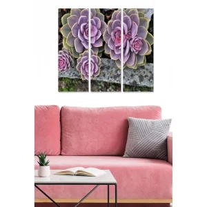 Nyhet Canvastavla i trä 3-delar 50x70 cm - Färgglada suckulenter i olika nyanser Lila / Grön / Rosa - Inredning