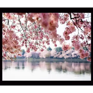 Inramad Canvastavla i trä - 41x56 cm - Blommande körsbärsträd vid en spegelblanka sjö Rosa / Grön / Blå - Inredning Bästa pris