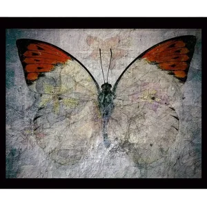 Inramad Canvastavla i trä - 41x56 cm - Färgglad fjäril med blommotiv Orange / Ljusgrå / Grön - Inredning Kundfavorit