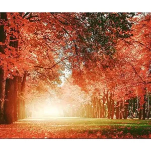 Begränsat erbjudande Canvastavla 70x100 cm - Vacker höstskog med strålande orangea och röda löv som skapar en varm och inbjudande atmosfär Orange / Röd / Grön - Inredning