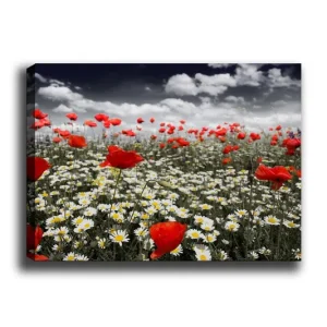 Canvastavla 70x100 cm - Blomsteräng med röda vallmo och vita prästkragar som skapar en kontrasterande och livfull komposition Röd / Vit - Inredning Rea
