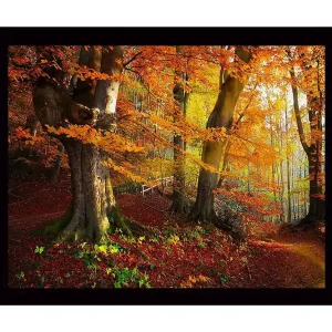 Inramad Canvastavla i trä - 41x56 cm - Färgglad höstskog med gyllene och orange lövverk Orange / Gult / Grönt - Inredning Handla nu