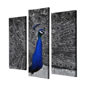 Dekorativ Canvastavla 3-Delar 45x20 cm Flerfärgad - Inredning Utförsäljning