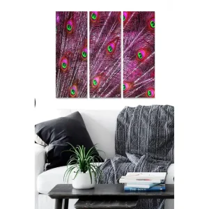 Kampanjpris Canvastavla i trä 3-delar 50x70 cm - Färgglada påfågelfjädrar med iriserande ögonmönster Rosa / Grön / Blå - Inredning