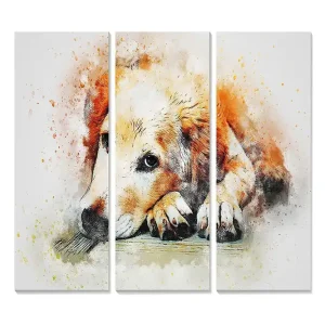 Canvastavla i trä 3-delar 50x70 cm - Lugn hund som vilar med huvudet på sina tassar Orange / Vit / Svart - Inredning Bästa pris