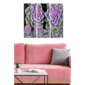 Köp nu Canvastavla i trä 3-delar 50x70 cm - Färgglada suckulenter i olika nyanser Lila / Grön / Grå - Inredning