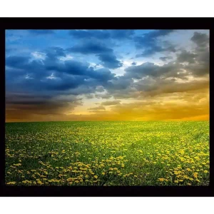 Inramad Canvastavla i trä - 41x56 cm - Blomstrande äng med gula maskrosor under en dramatisk himmel Gult / Blått / Grönt - Inredning Rabatt