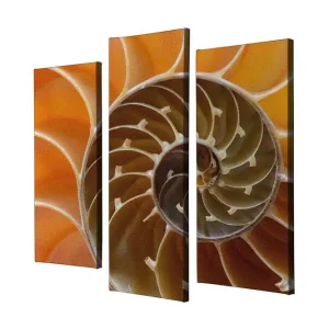 Trygg betalning Dekorativ Canvastavla 3-Delar 45x20 cm Flerfärgad - Inredning