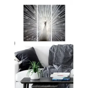 Canvastavla i trä 3-delar 50x70 cm - Vit påfågel med strålar av ljus bakom sig Vit / Grå / Svart - Inredning Endast denna vecka