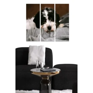 Canvastavla i trä 3-delar 50x70 cm - Söt hund som vilar på en mjuk filt Svart / Vit / Grå - Inredning Kampanjpris