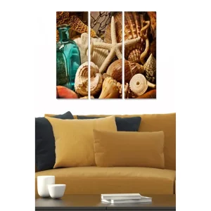 Canvastavla i trä 3-delar 50x70 cm - Havsinspirerad samling av snäckor och strandföremål Turkos / Beige / Brun - Inredning Fynd