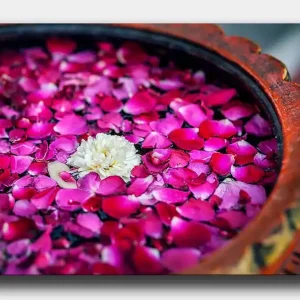 Canvastavla 70x100 cm - Skål med rosa rosblad och en vit blomma som flyter på ytan Rosa / Vit - Inredning Säker betalning