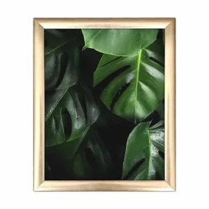 Tavla Floral med Ram Flerfärgad 23,5x28,5 cm - Inredning Snabb frakt