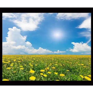 Begränsat antal Inramad Canvastavla i trä - 41x56 cm - Blomstrande fält av maskrosor under en klarblå himmel Gult / Grönt / Blått - Inredning