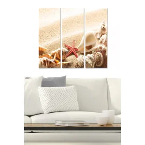 Canvastavla i trä 3-delar 50x70 cm - Snäckor och en sjöstjärna på sandstrand Beige / Röd / Brun - Inredning Beställ idag