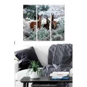 Kundfavorit Canvastavla Animal 3-pack Flerfärgad 20x50 cm - Inredning