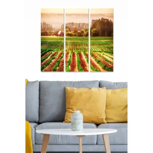 Köp online Canvastavla i trä 3-delar 50x70 cm - Vacker landskapsvy med vinfält och ett rött hus i bakgrunden Grön / Brun / Röd - Inredning