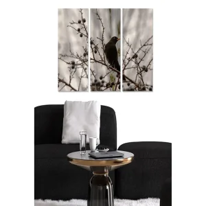 Lågt pris Canvastavla i trä 3-delar 50x70 cm - Svart fågel sittande på en gren med bär Svart / Grå / Brun - Inredning