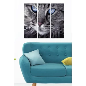 Canvastavla i trä 3-delar 50x70 cm - Närbild av en katt med intensiva blå ögon Grå / Blå - Inredning Begränsad tid