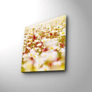 Canvastavla 45x45 cm - Fält av blommor i olika nyanser av vitt och gult Vitt / Gult / Grönt - Inredning Billigare