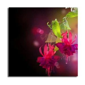 Beställ idag Canvastavla 45x45 cm - Färgrik hängande fuchsia med gröna blad Rosa / Lila / Grön - Inredning