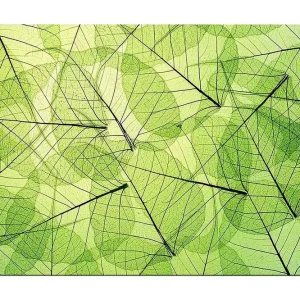 Canvastavla 70x100 cm - Abstrakt komposition av genomskinliga löv i olika nyanser av grönt Ljusgrön / Mörkgrön / Svart - Inredning Snabb leverans